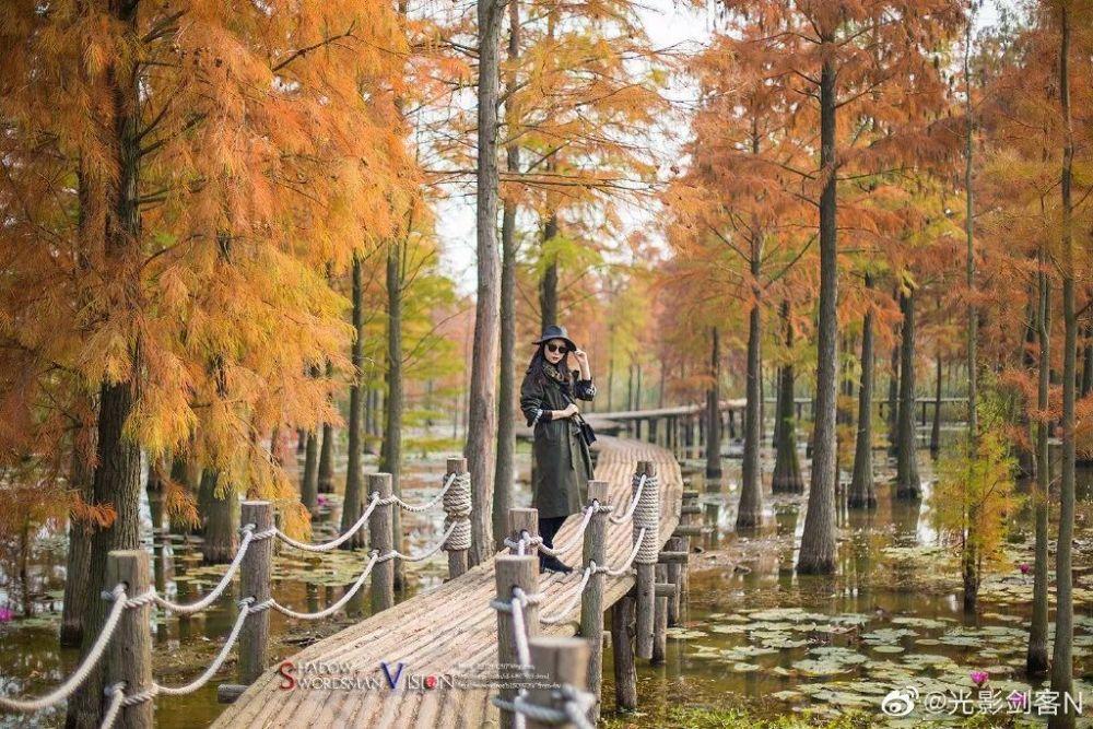 春雨直播app