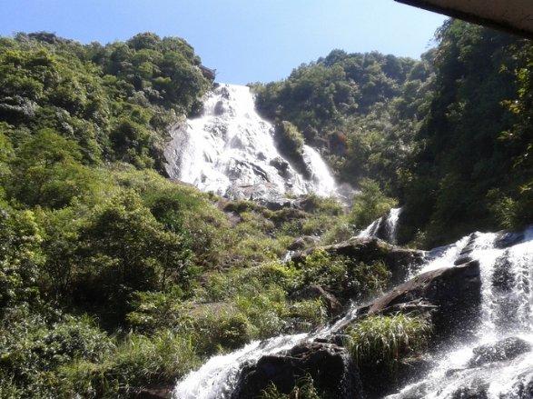 被央视曝出问题的“土坑酸菜”有何危害？对健康有何影响？